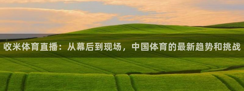 山猫体育在线观看：收米体育直播：从幕后到现场，中国体育的最新趋势和挑战