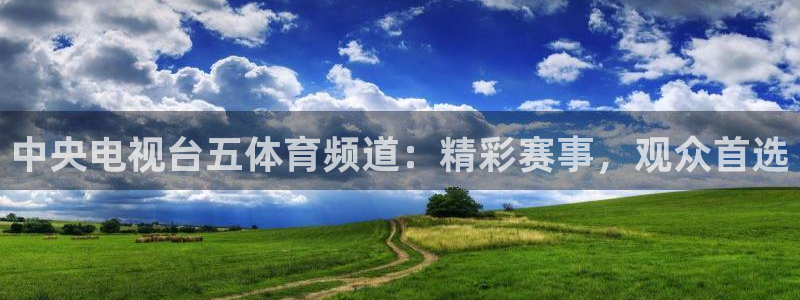 山猫体育直播官网：中央电视台五体育频道：精彩赛事，观众首选