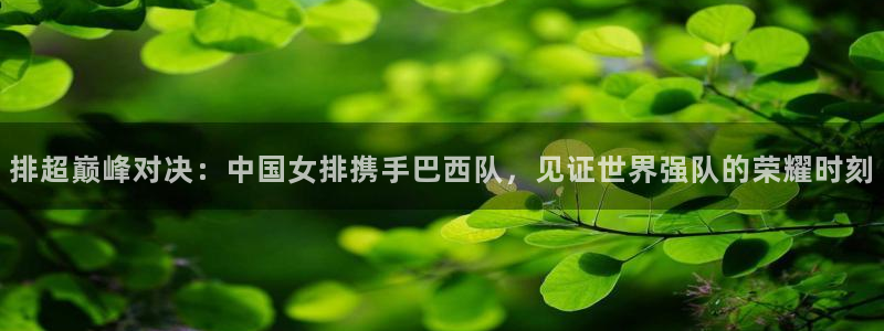 山猫体育直播免费直播nba：排超巅峰对决：中国女排携手巴西队，见证世界强队的荣耀时刻