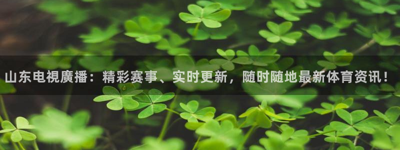 山猫体育免费篮球直播：山东电視廣播：精彩赛事、实时更新，随时随地最新体育资讯！