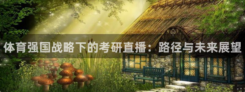 山猫足球免费直播：体育强国战略下的考研直播：路径与未来展望