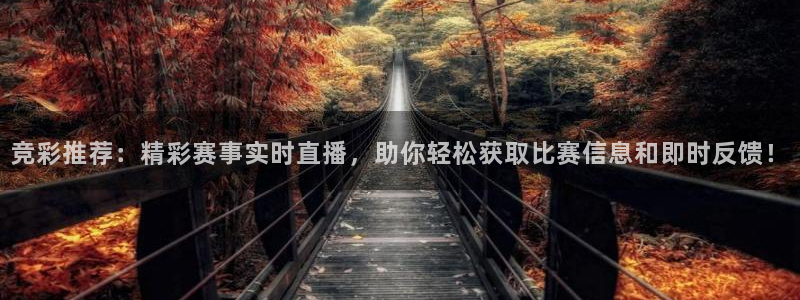 山猫免费直播体育nba：竞彩推荐：精彩赛事实时直播，助你轻松获取比赛信息和即时反馈！