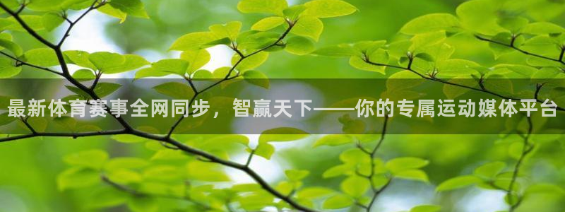 山猫直播足球免费观看高清：最新体育赛事全网同步，智赢天下——你的专属运动媒体平台